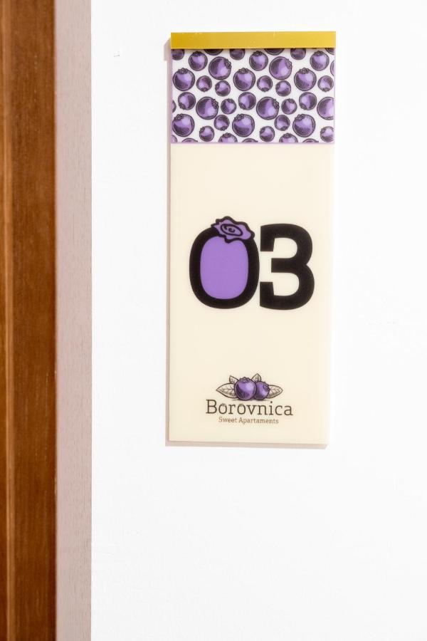 Borovnica Sweet Apartments 자블야크 외부 사진